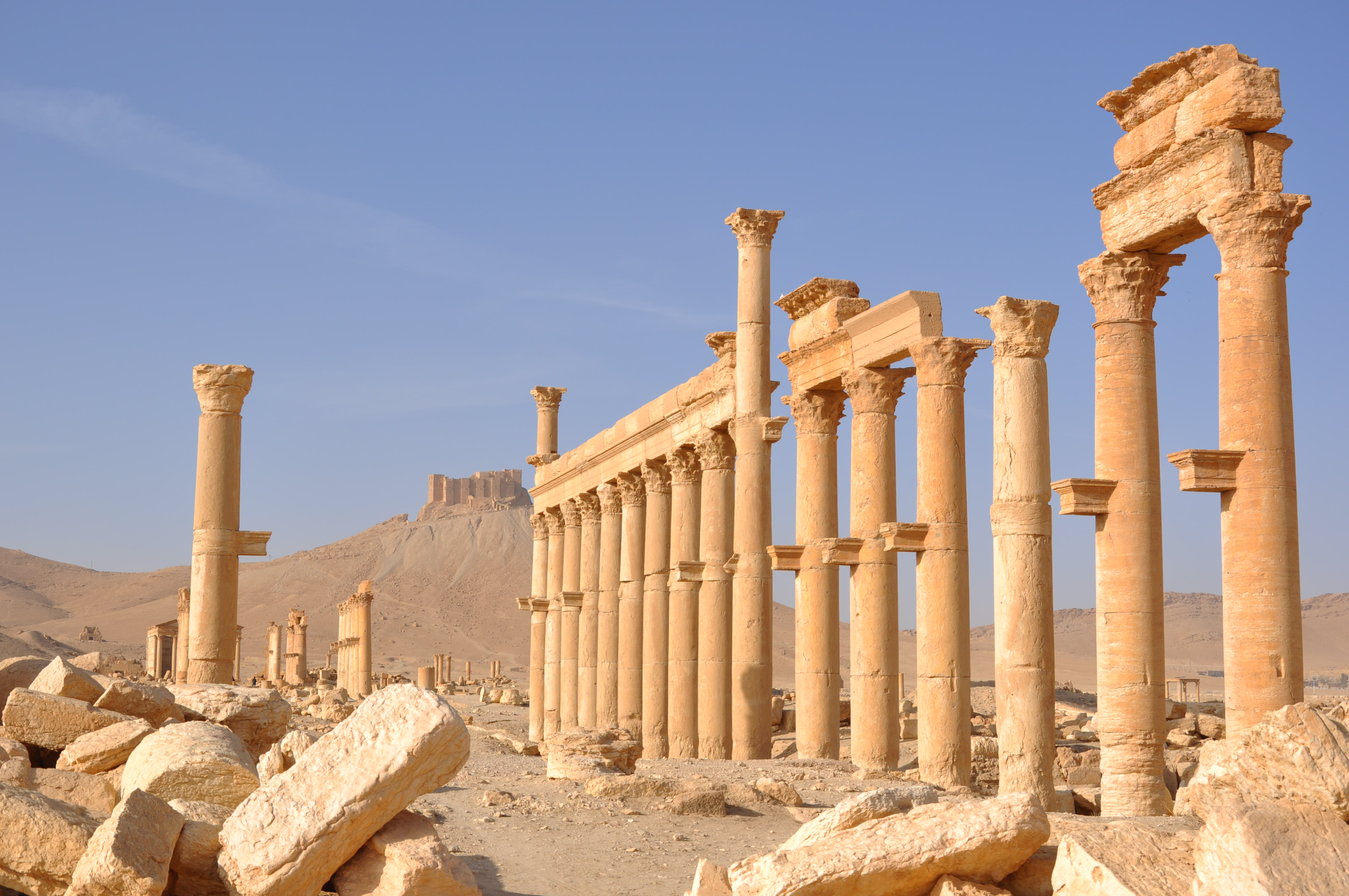 Luca Errera, Daniela Trastulli, Siria, Palmira