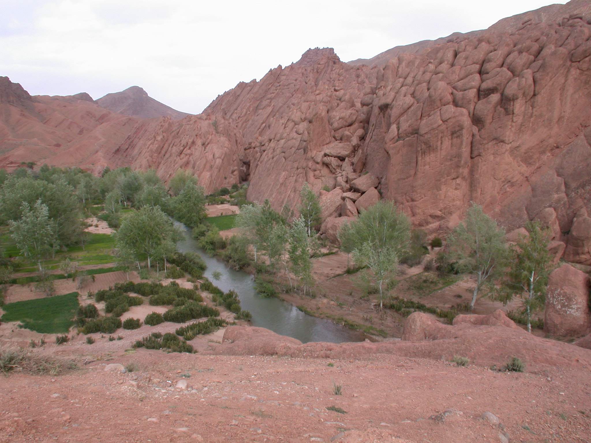 Luca Errera, Daniela Trastulli, Marocco, dita di scimmia, gole del Dades