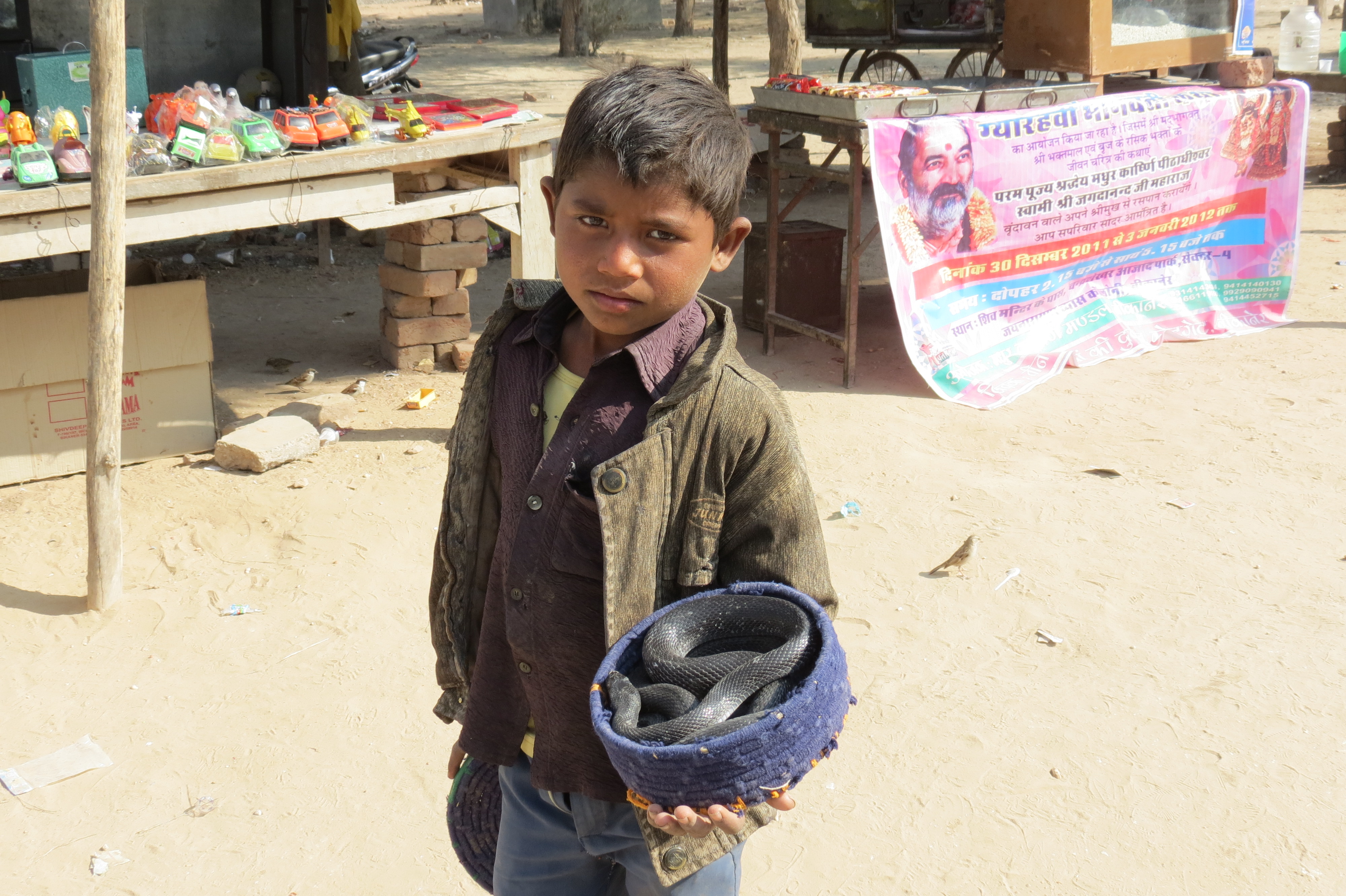 Luca Errera, Daniela Trastulli, India, Rajasthan, bambino, serpente, venditore
