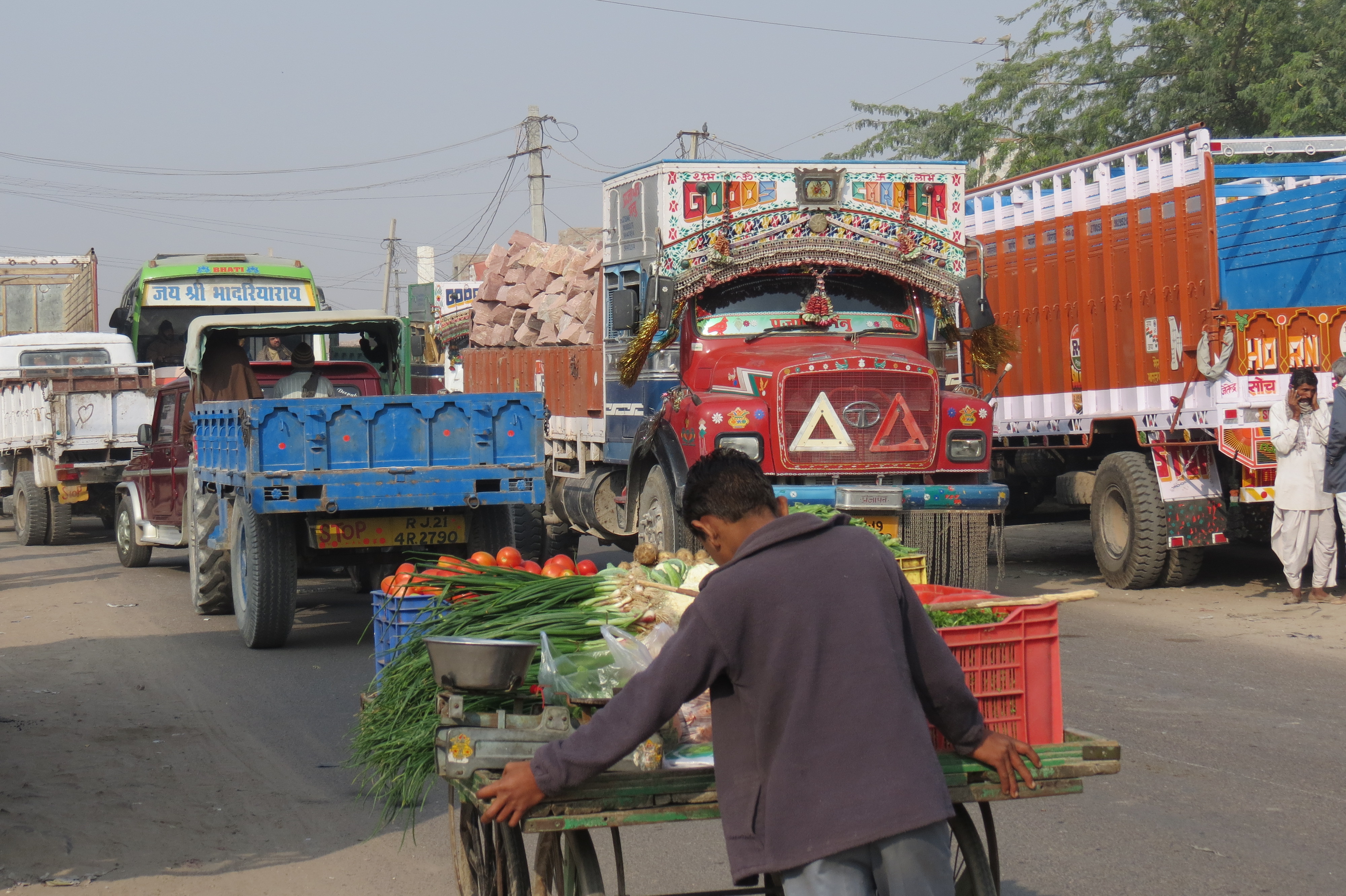 Luca Errera, Daniela Trastulli, India, Rajasthan, traffico, camion, carretto, venditore