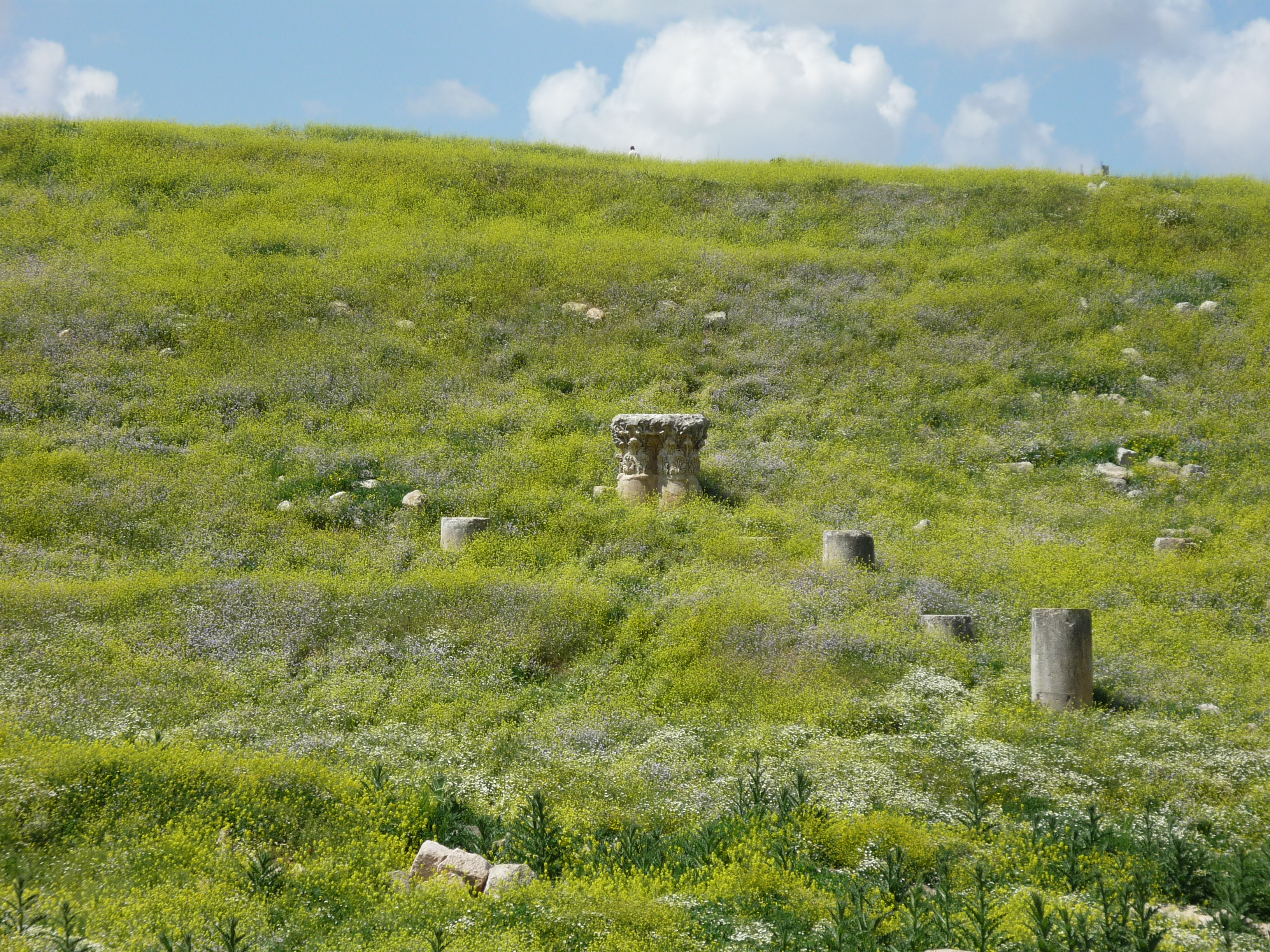 Luca Errera, Daniela Trastulli, Giordania, Amman
