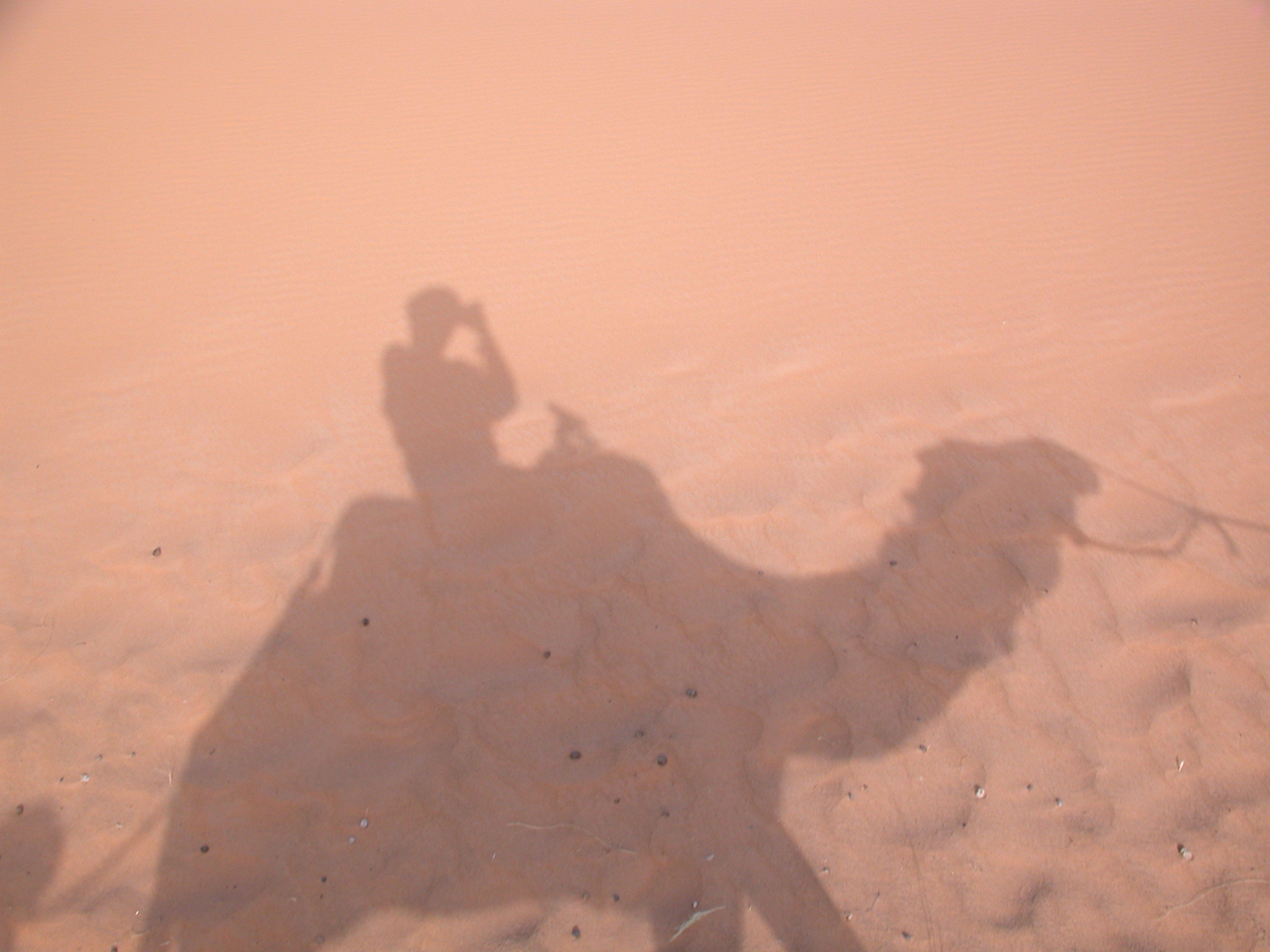Luca Errera, Daniela Trastulli, Marocco, deserto