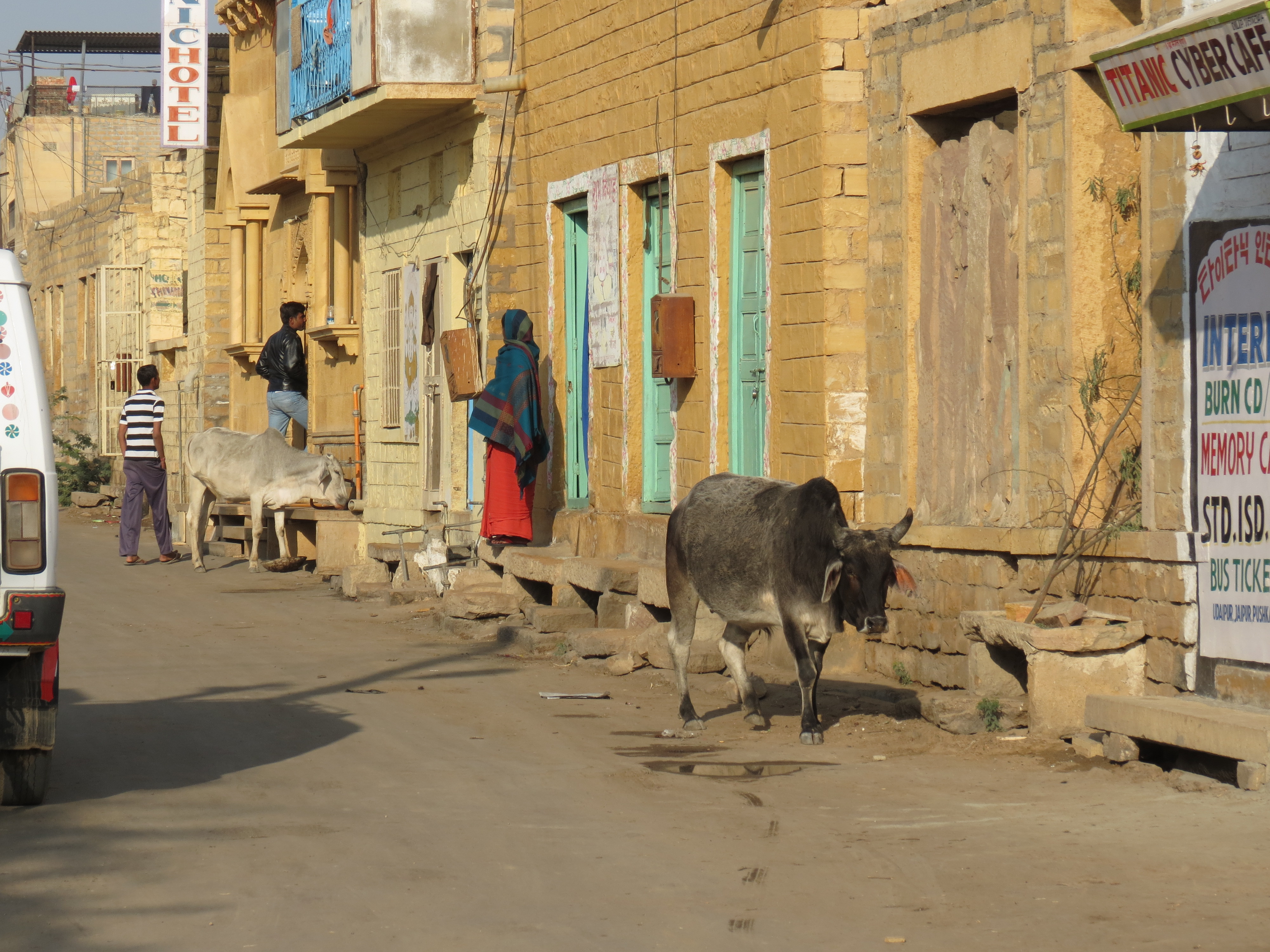 Luca Errera, Daniela Trastulli, India, Rajasthan, Jaisalmer, donna, vacca
