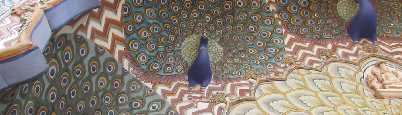 Luca Errera, Daniela Trastulli, India, Rajasthan, videomaker, reportage, viaggio, documentario