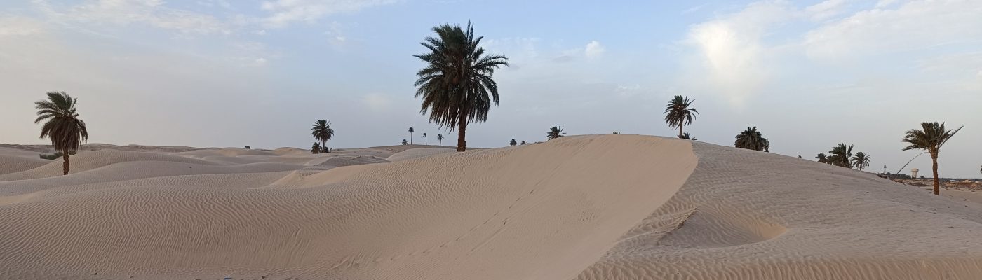 Tunisia deserto